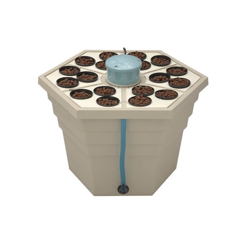 T.A. Rainforest 2 für 18 Pflanzen 3